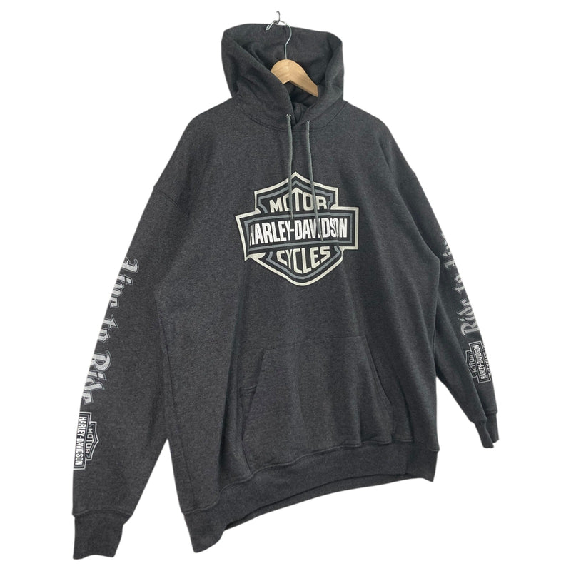 Vintage Harley Davidson Santa Cruz California Dealer Hoodie