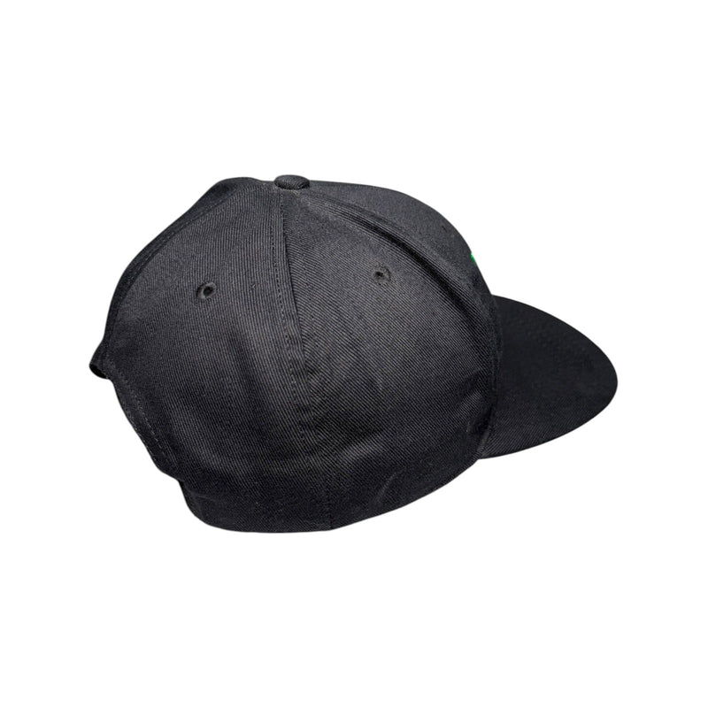 Vintage Dropkick Murphys Snapback Hat OSFA