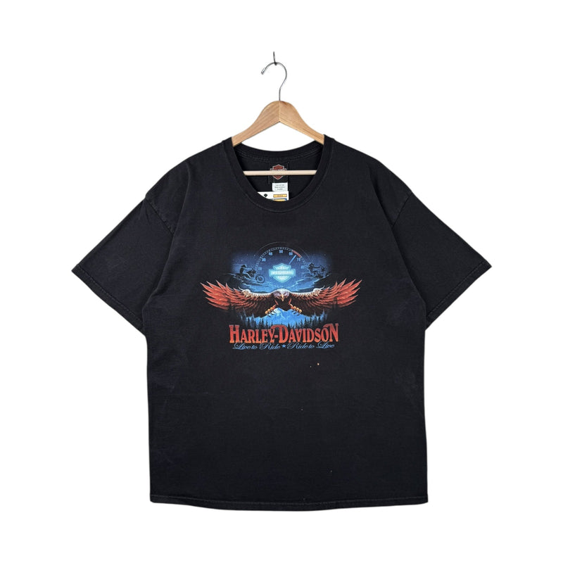 Vintage Harley Davidson Blue Ridge Eagle Graphic T-Shirt