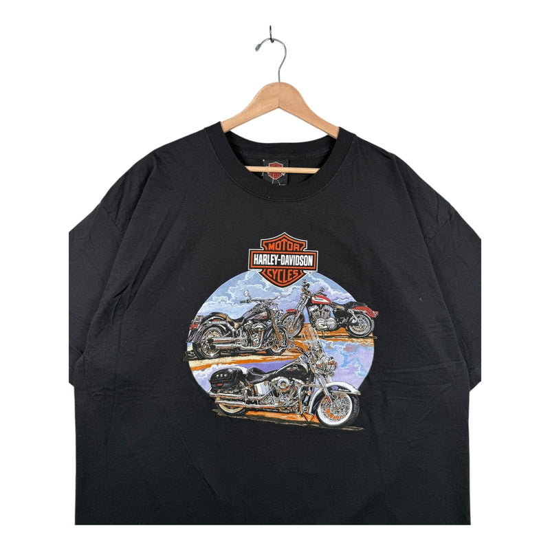 Vintage Harley Davidson Danbury T-Shirt