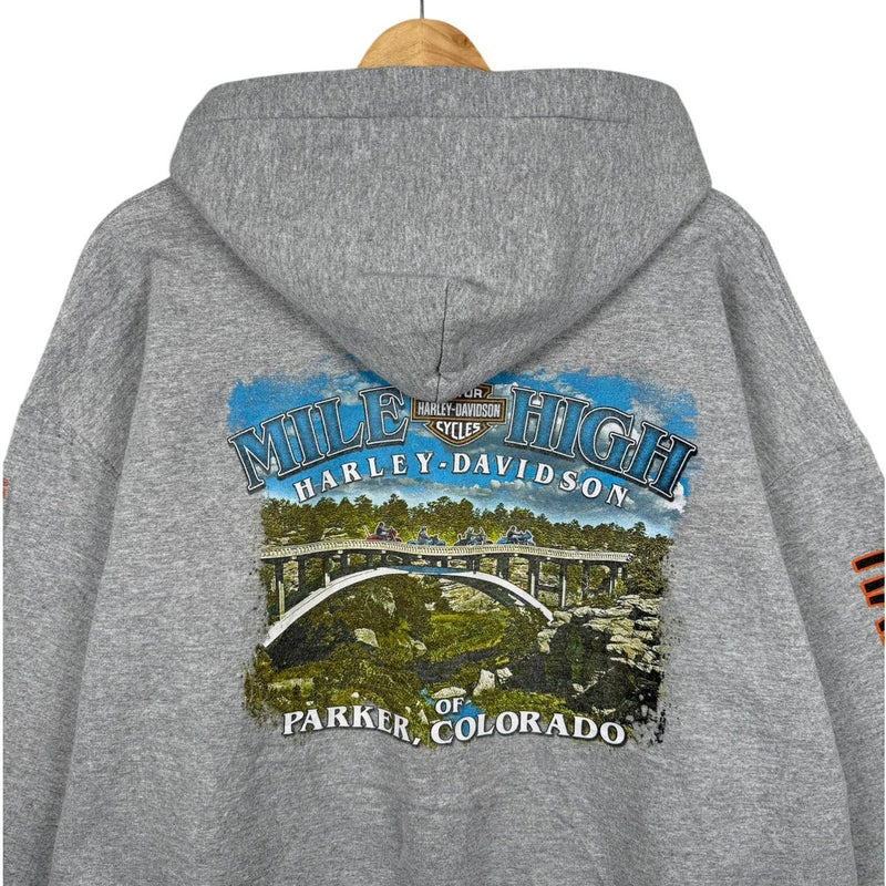 Vintage Harley Daavidson Logo Colorado Graphic Hoodie