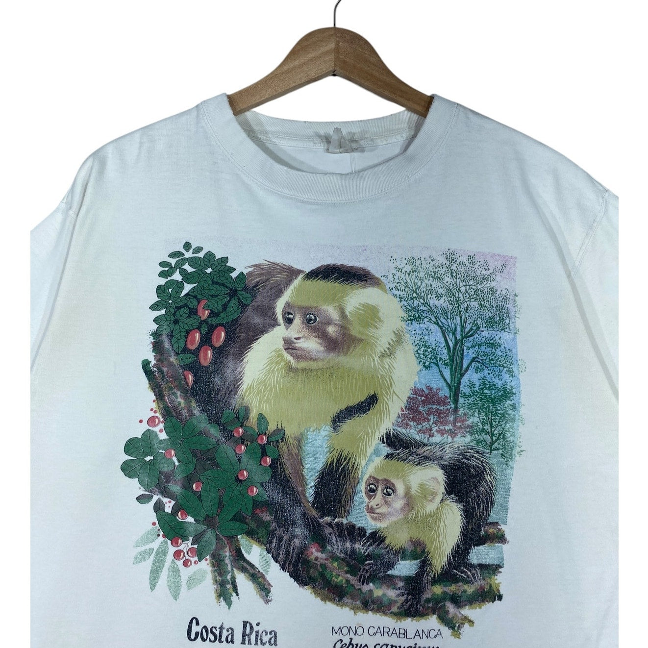 Vintage Costa Rica Monkey Graphic T-Shirt