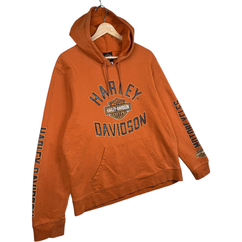 Vintage Harley Davidson Canada Flames Graphic Hoodie