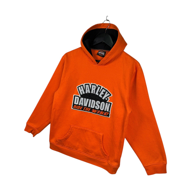 Vintage Harley Davidson Ride The Wind Hoodie