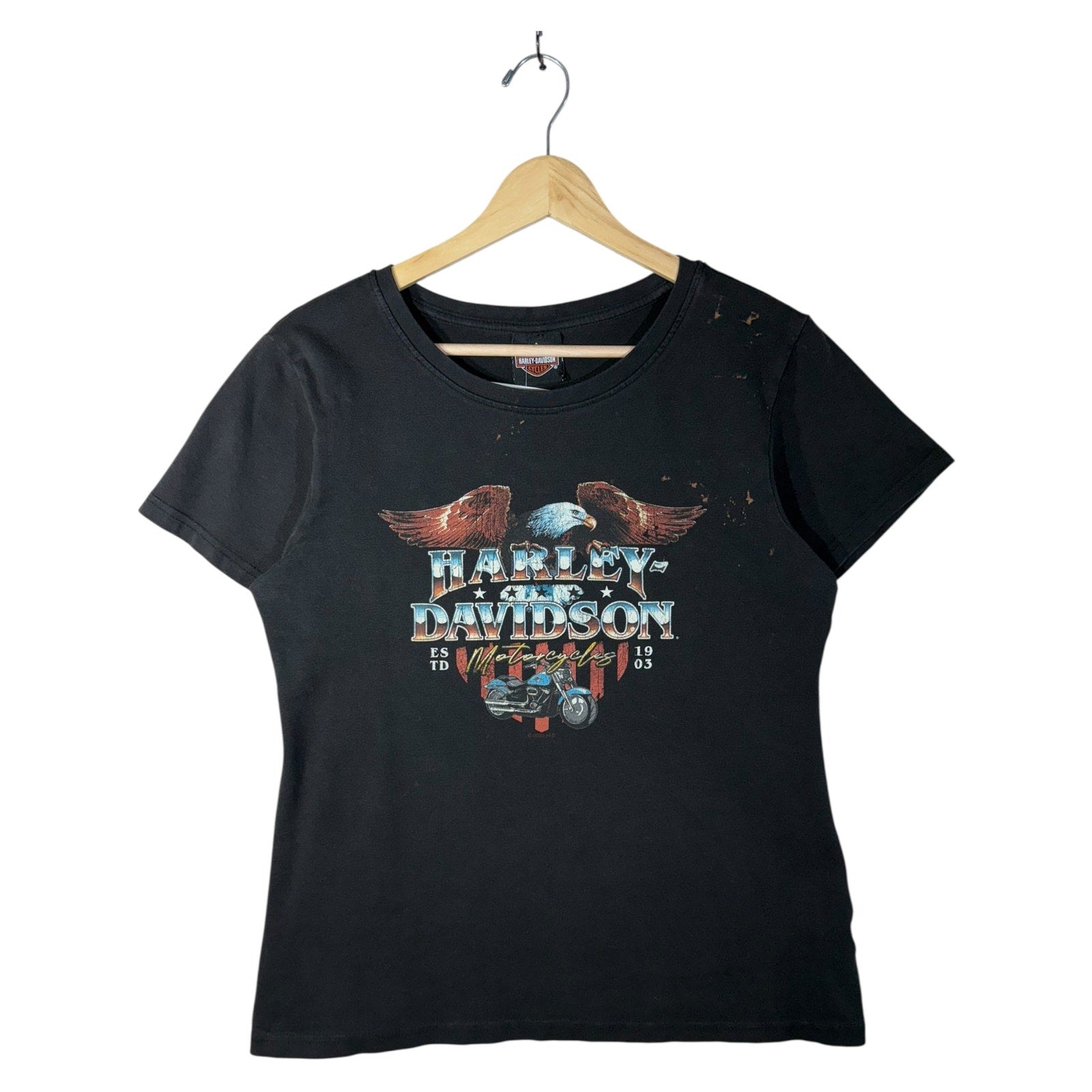 Vintage Harley-Davidson Eagle American Flag T-Shirt