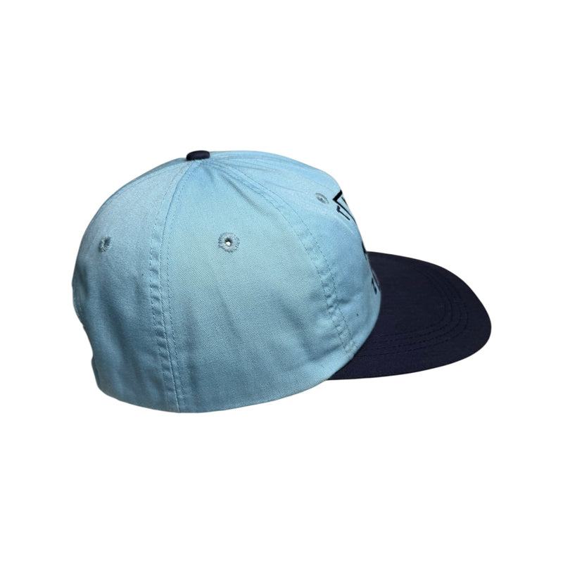 Vintage Taz Tasmanian Devil Looney Tunes Embroidered Dad Hat