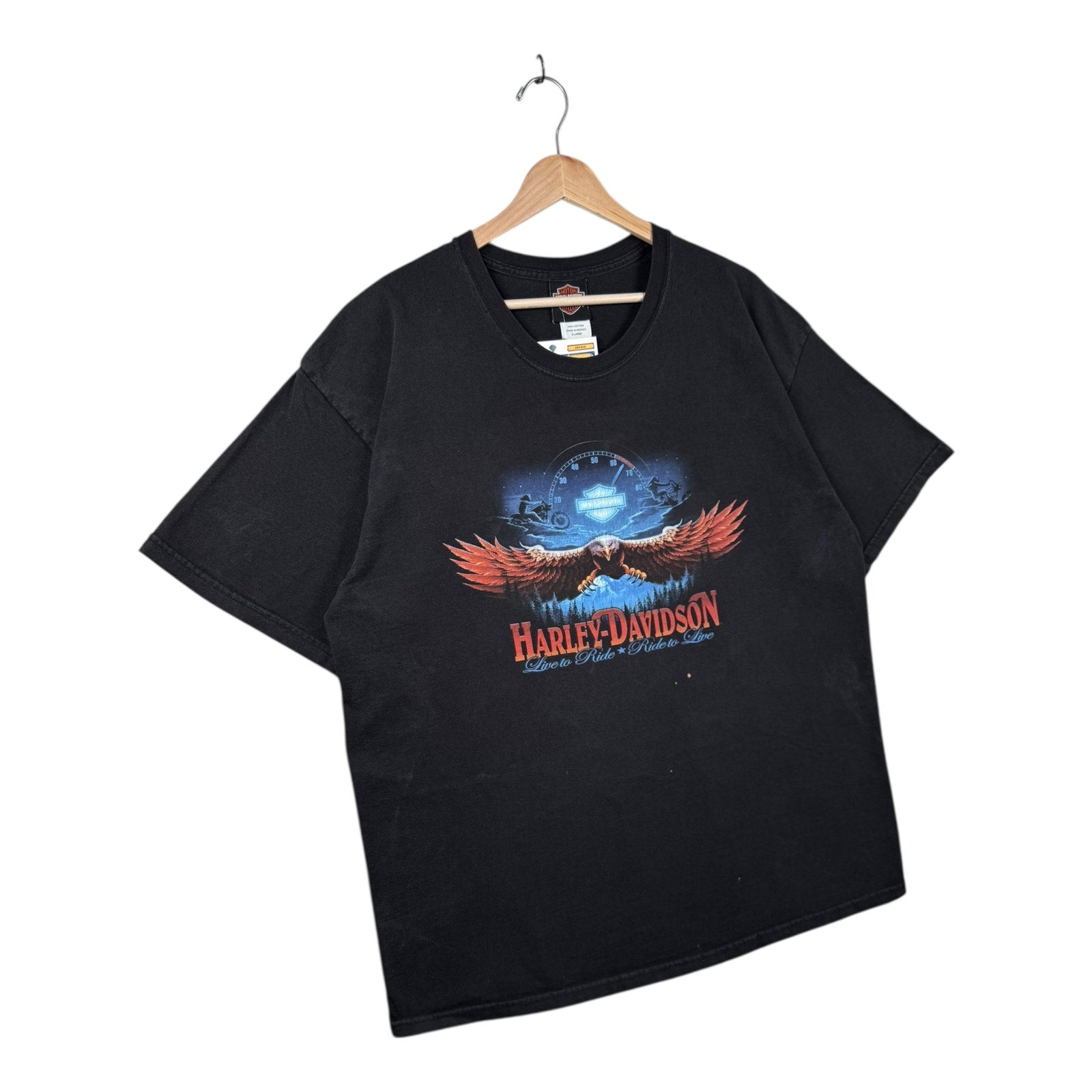 Vintage Harley Davidson Blue Ridge Eagle Graphic T-Shirt