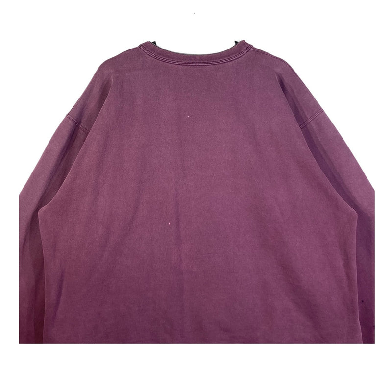 Vintage Champion Embroidered Distressed Crewneck