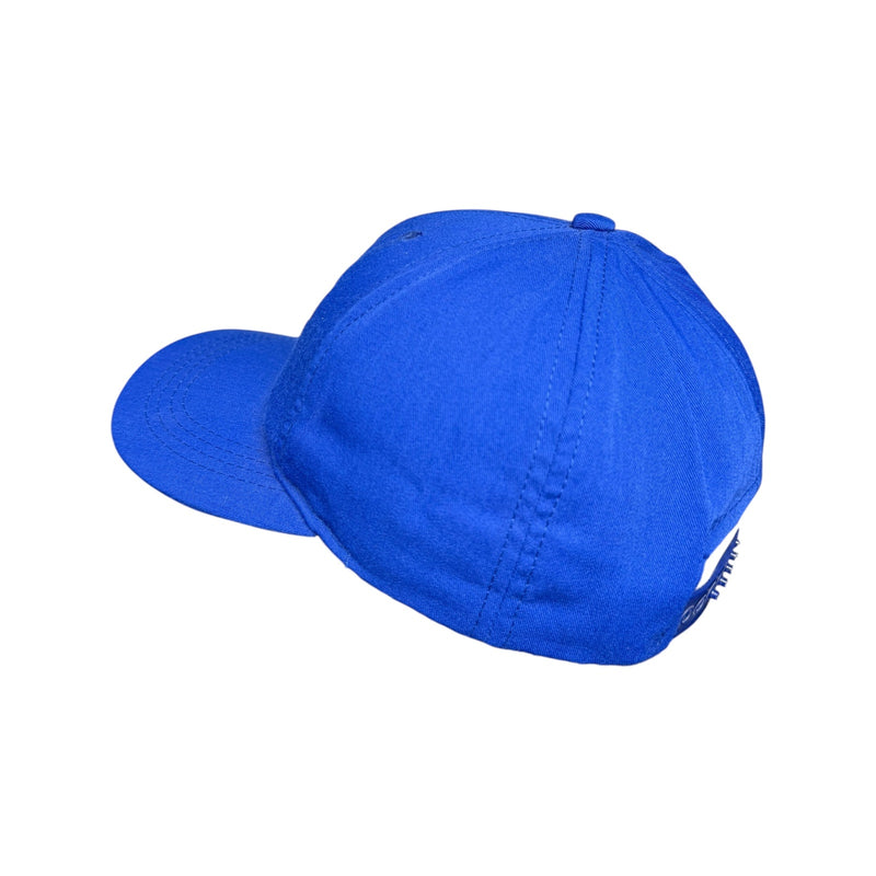 Vintage NFL Champions Snapback Hat OSFA