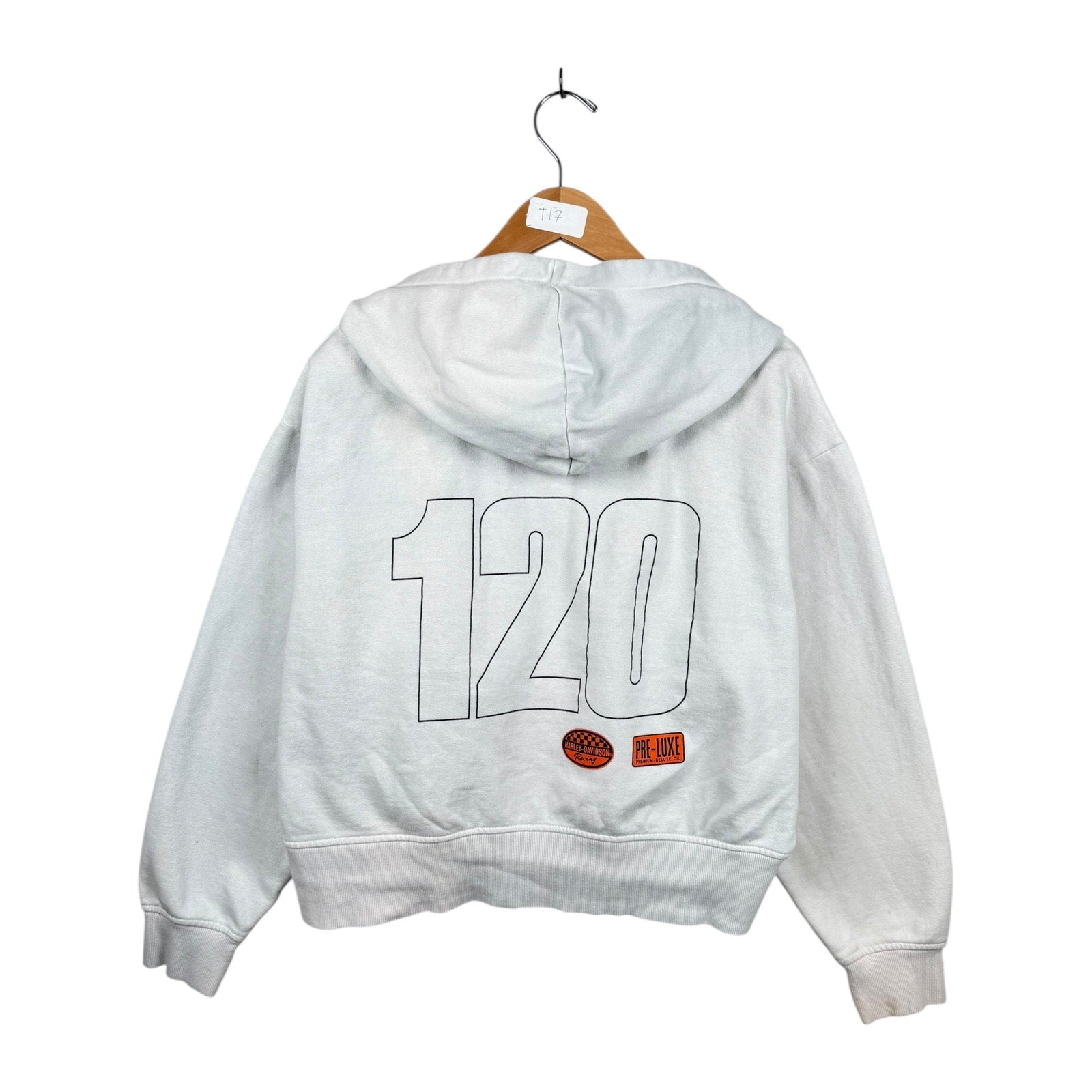 Vintage Harley Davidson Logo 120th Anniv Graphic Hoodie