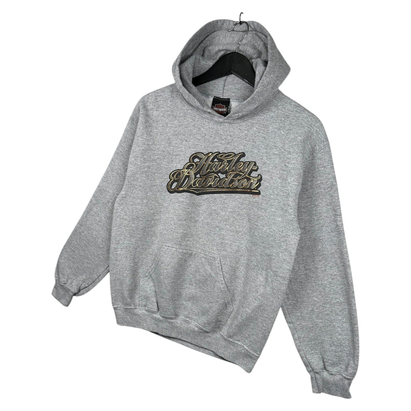 Vintage Harley Davidson Script Logo Hoodie