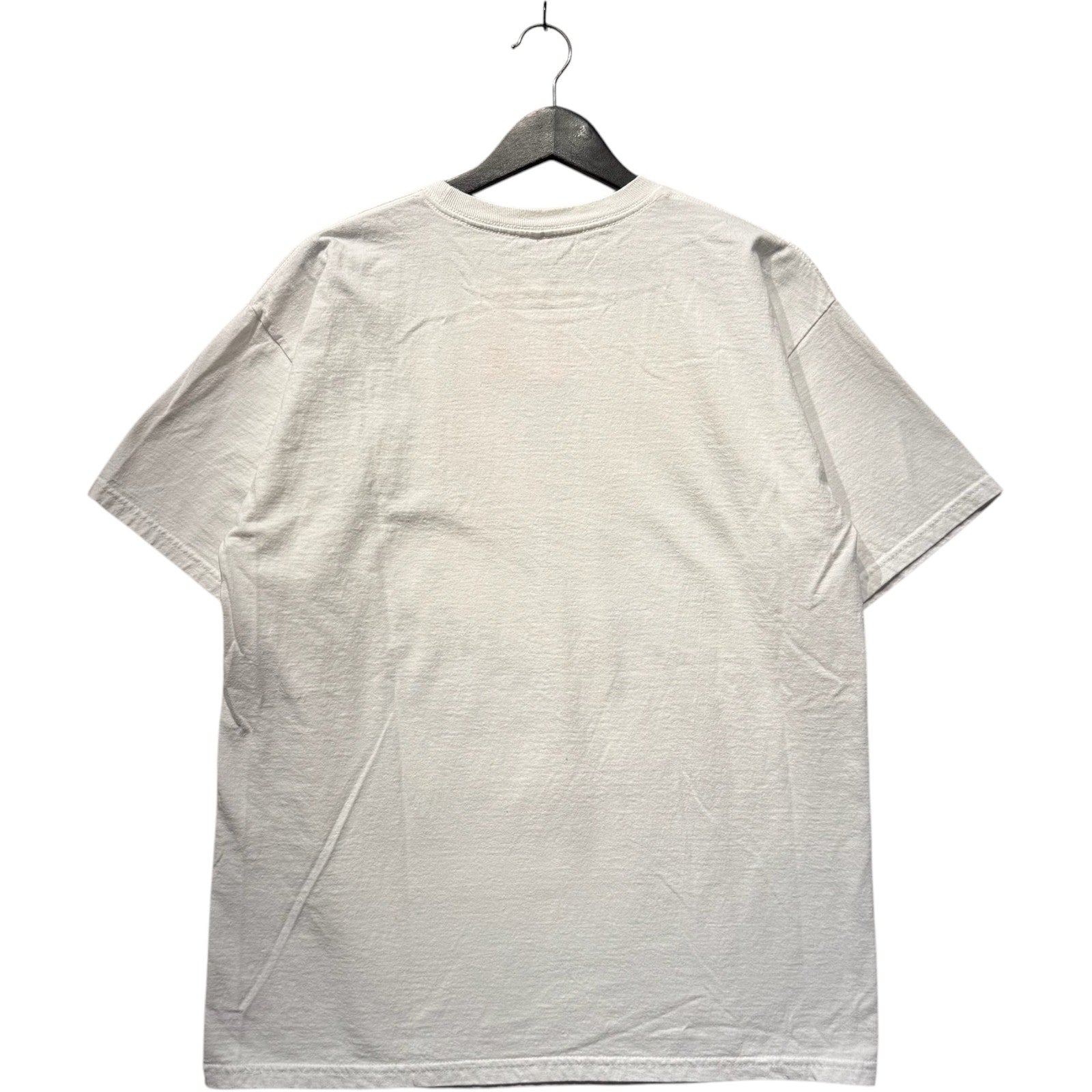 NASCAR Dale Earnhardt Jr. Tee