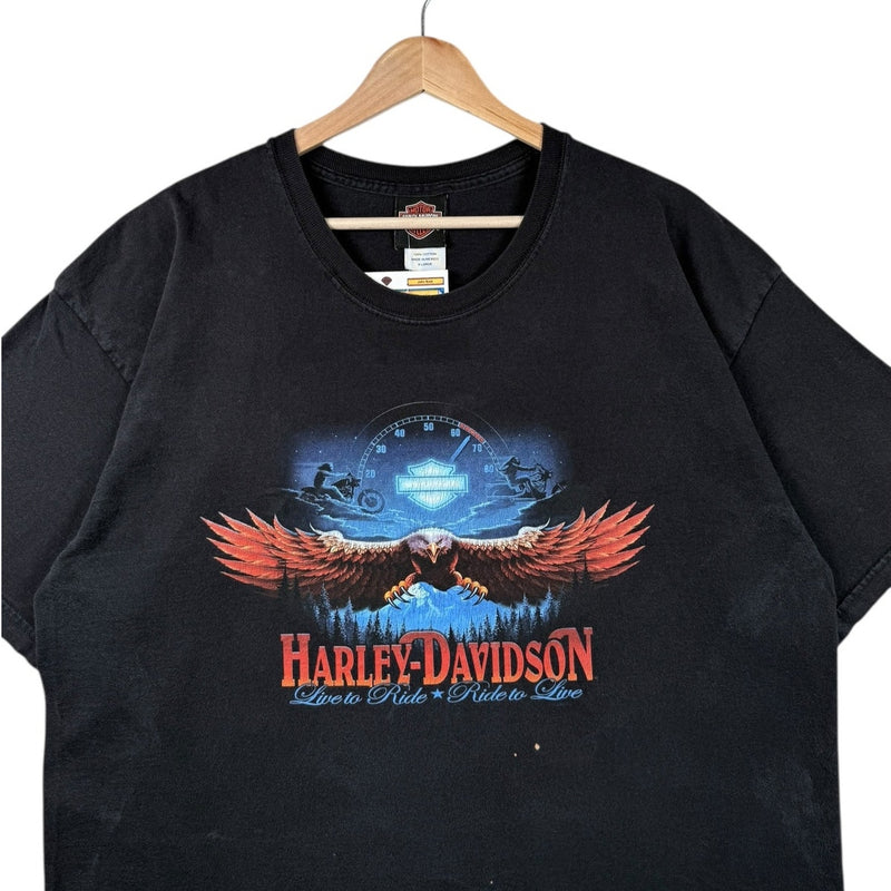 Vintage Harley Davidson Blue Ridge Eagle Graphic T-Shirt