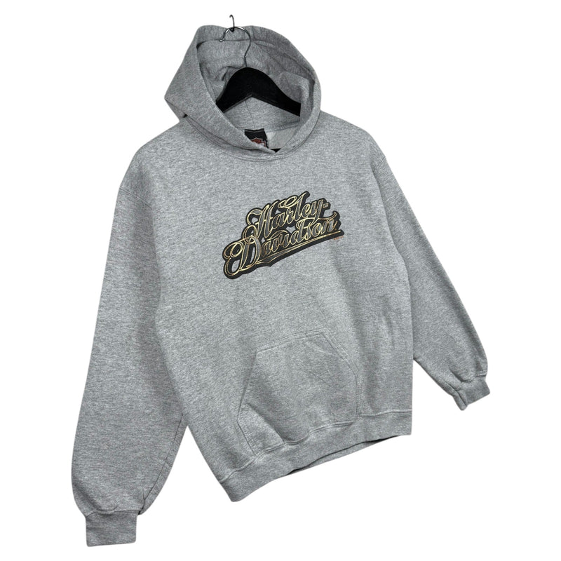 Vintage Harley Davidson Script Logo Hoodie