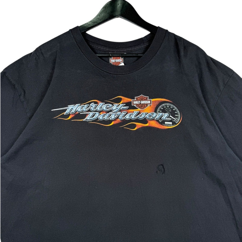 Vintage Harley Davidson Logo Flames Graphic T-Shirt