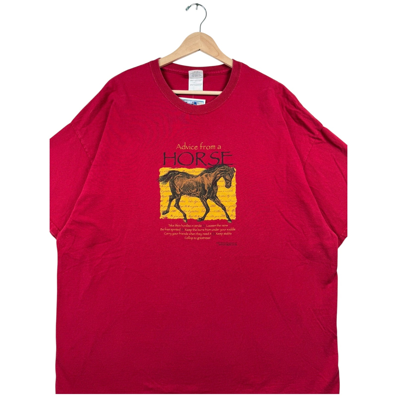 Vintage Advice From a Horse Inspirational Graphic T-Shirt