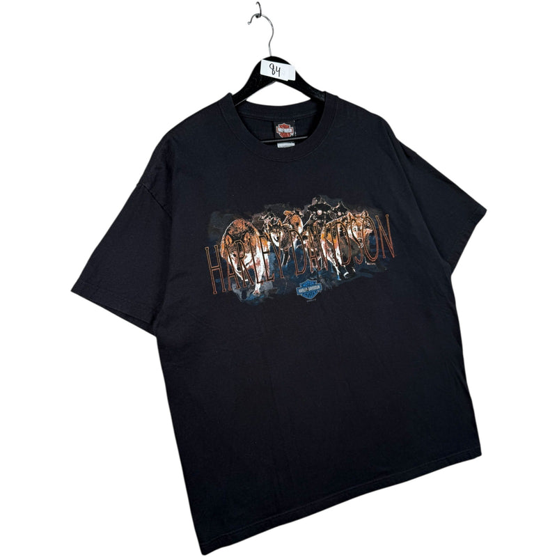 Vintage Harley Davidson Arkport T-Shirt