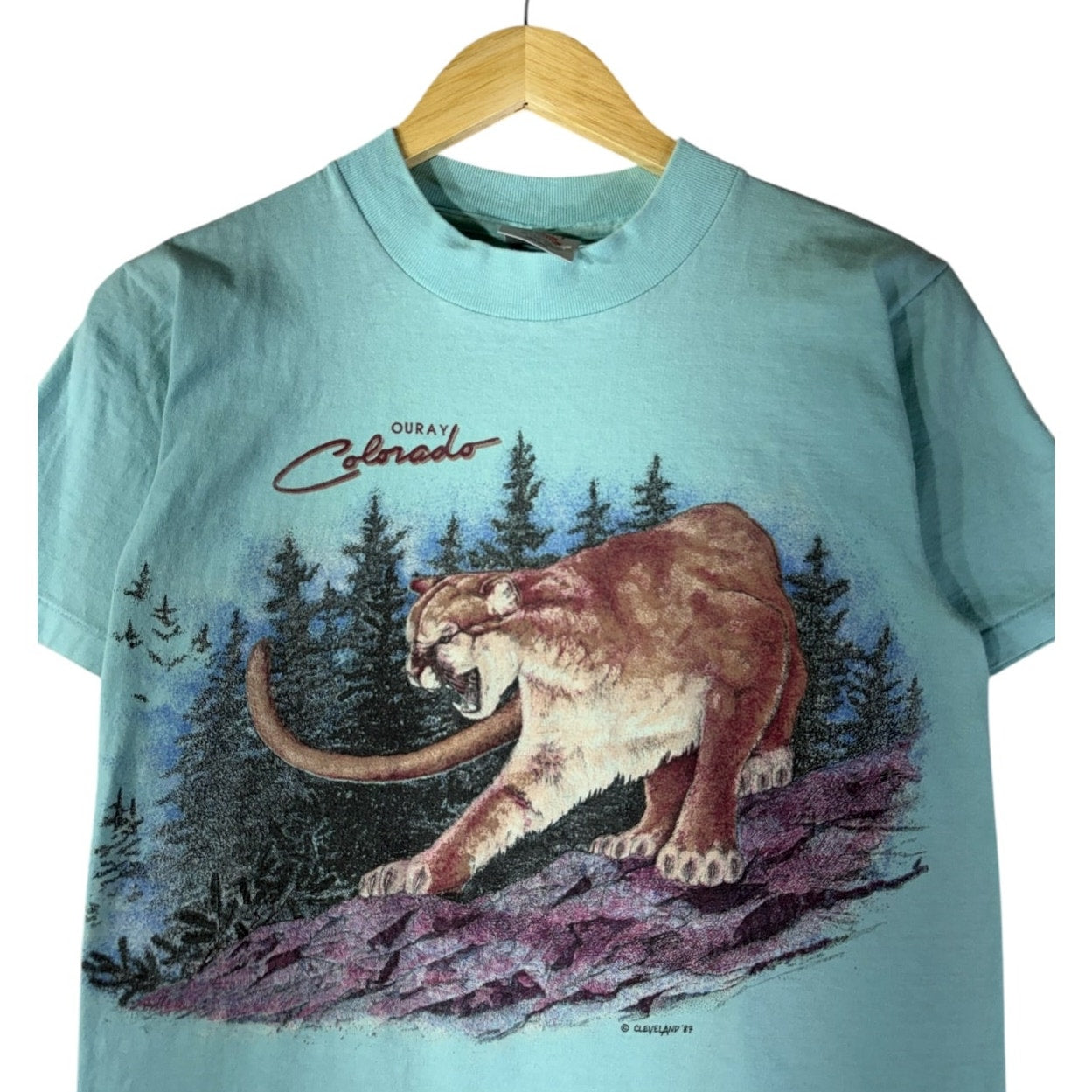 Vintage Mountain Lion Graphic T-Shirt