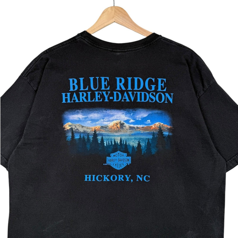 Vintage Harley Davidson Blue Ridge Eagle Graphic T-Shirt