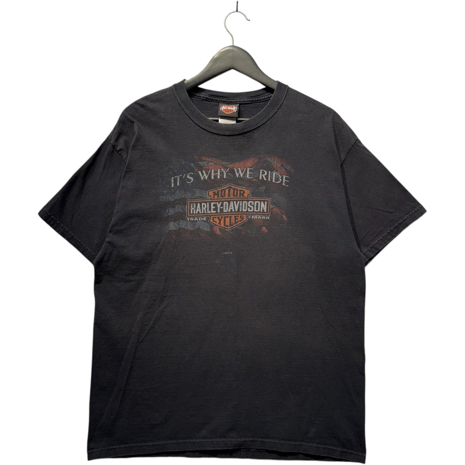 Vintage Harley Davidson "It's Why We Ride" Staunton, VA Tee