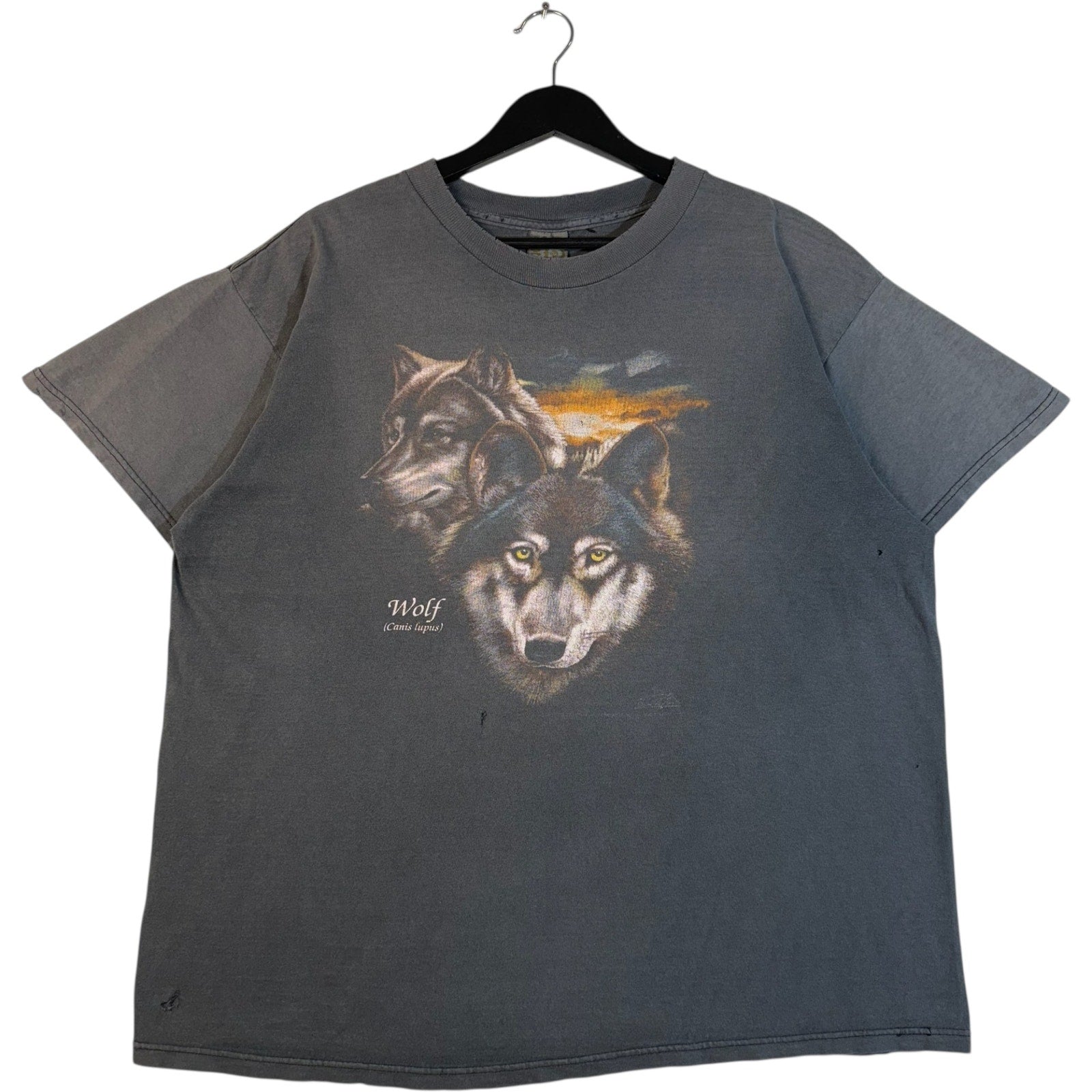 Vintage 3D Emblem Wolf Scientific Name Spellout Art Tee