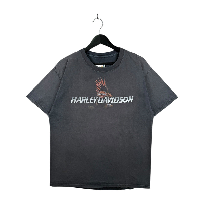 Vintage Harley Davidson Knoxville T-Shirt
