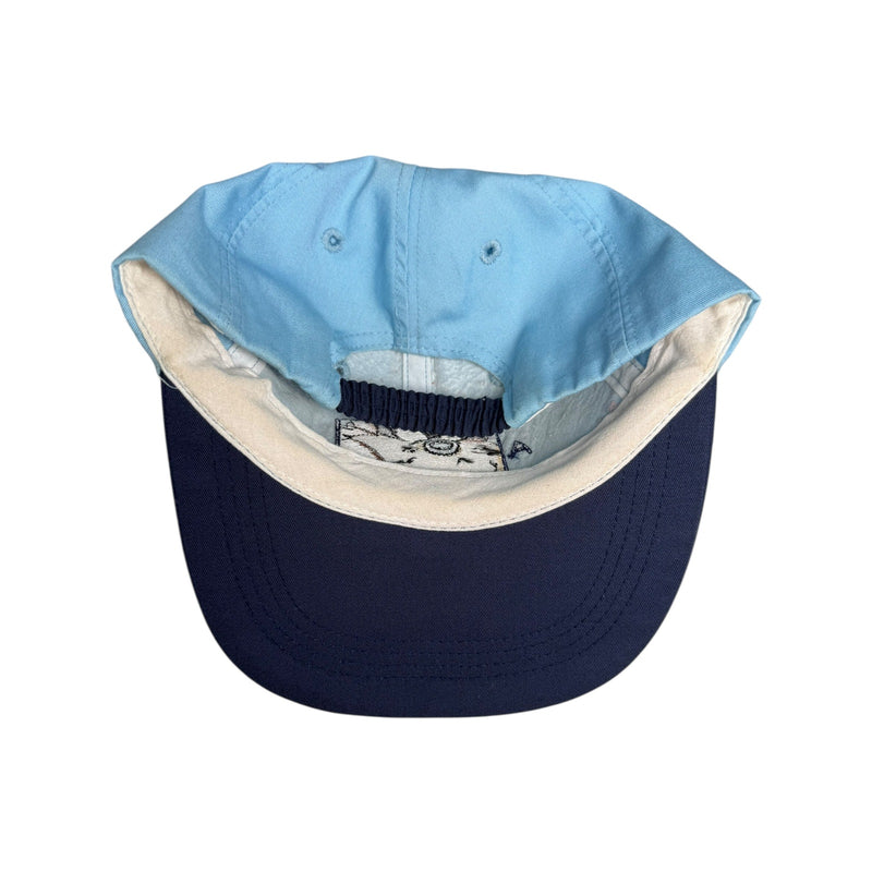 Vintage Taz Tasmanian Devil Looney Tunes Embroidered Dad Hat