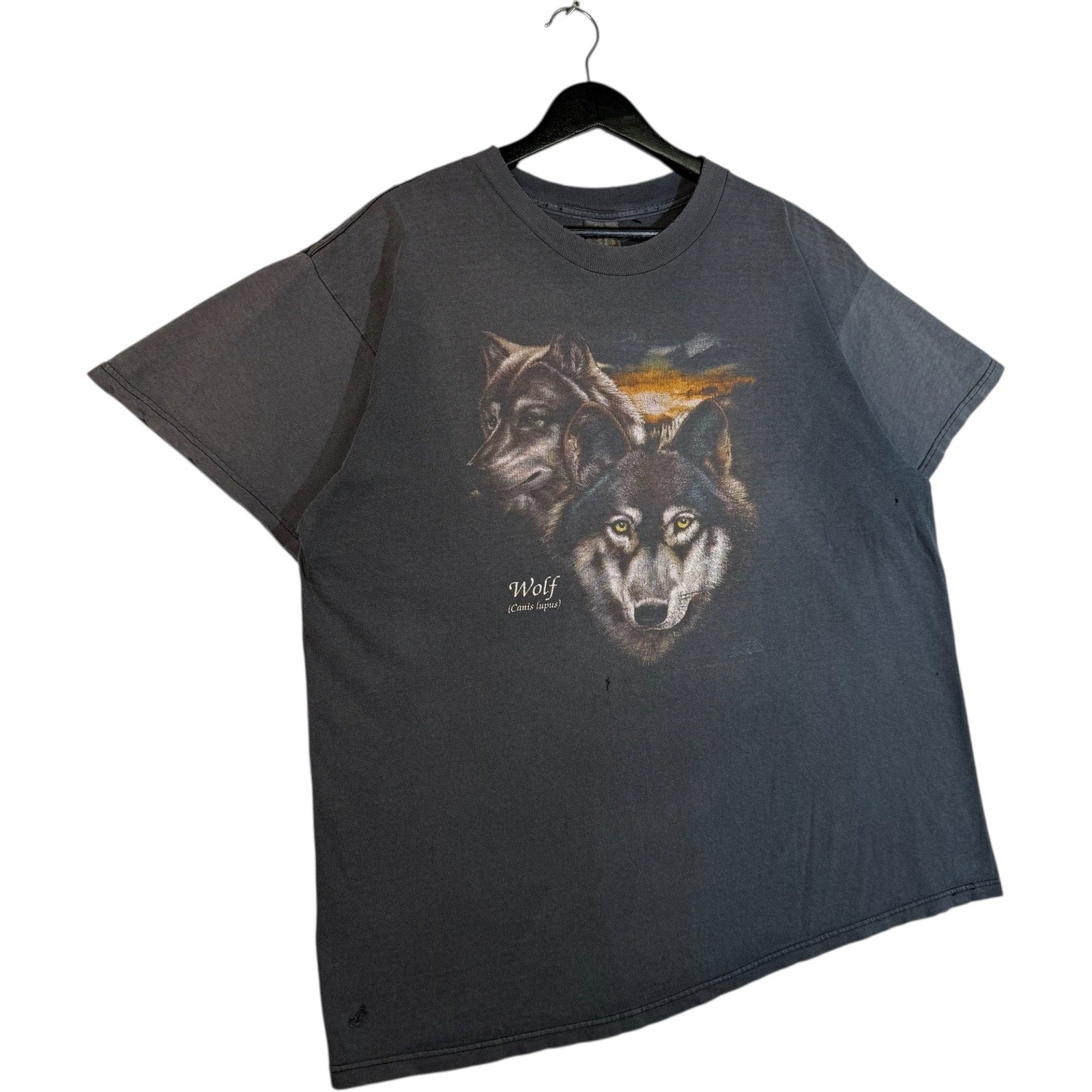 Vintage 3D Emblem Wolf Scientific Name Spellout Art Tee