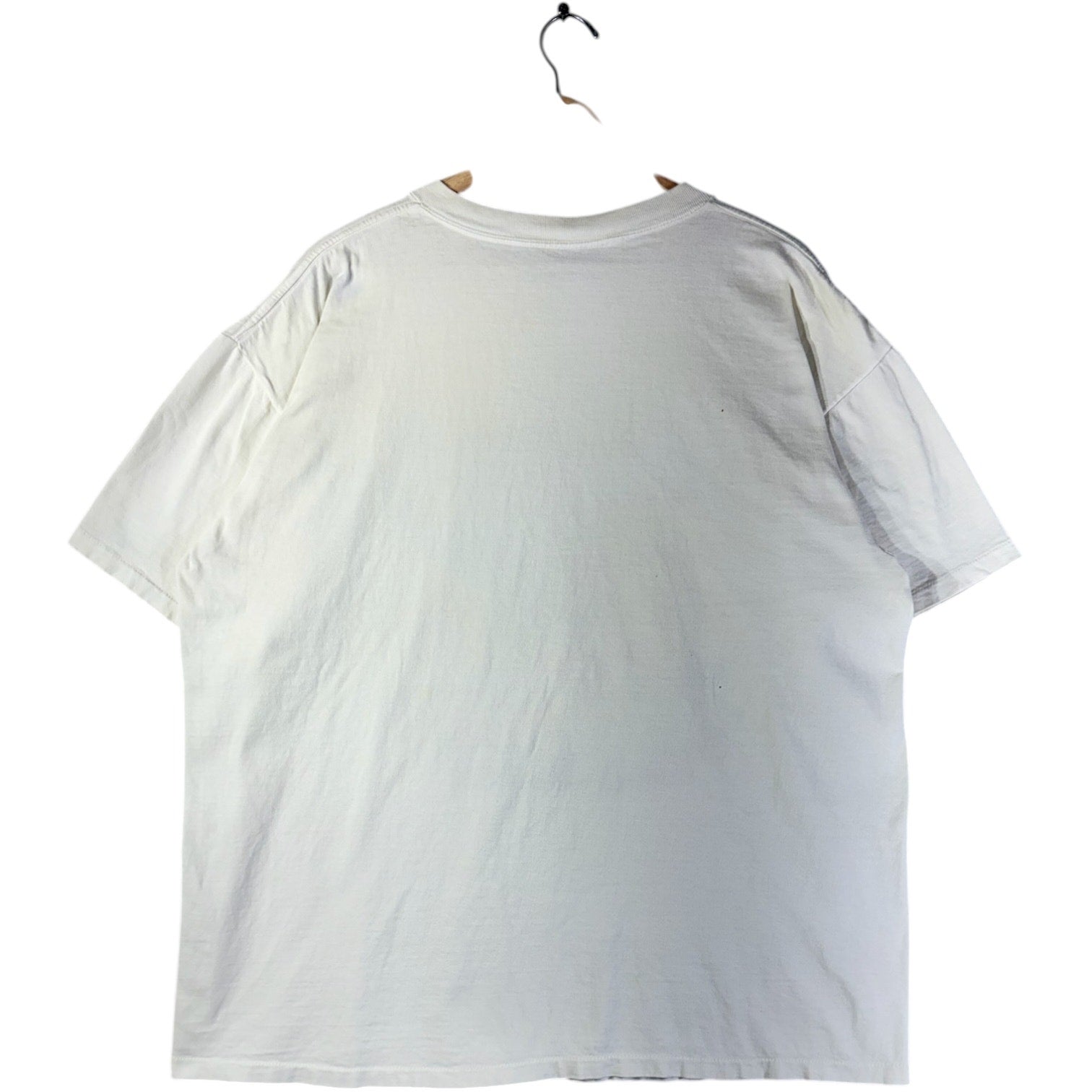 Vintage I Survived Alpengeist Busch Gardens 90s T-Shirt