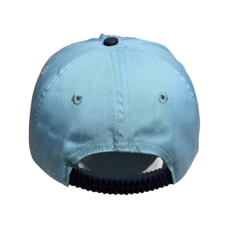 Vintage Taz Tasmanian Devil Looney Tunes Embroidered Dad Hat