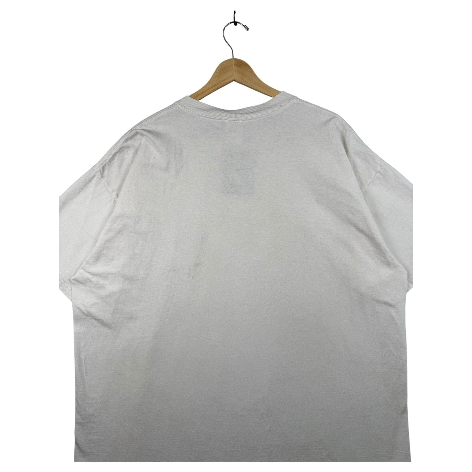Vintage Anvil Duck-Duck-Goose Graphic T-Shirt