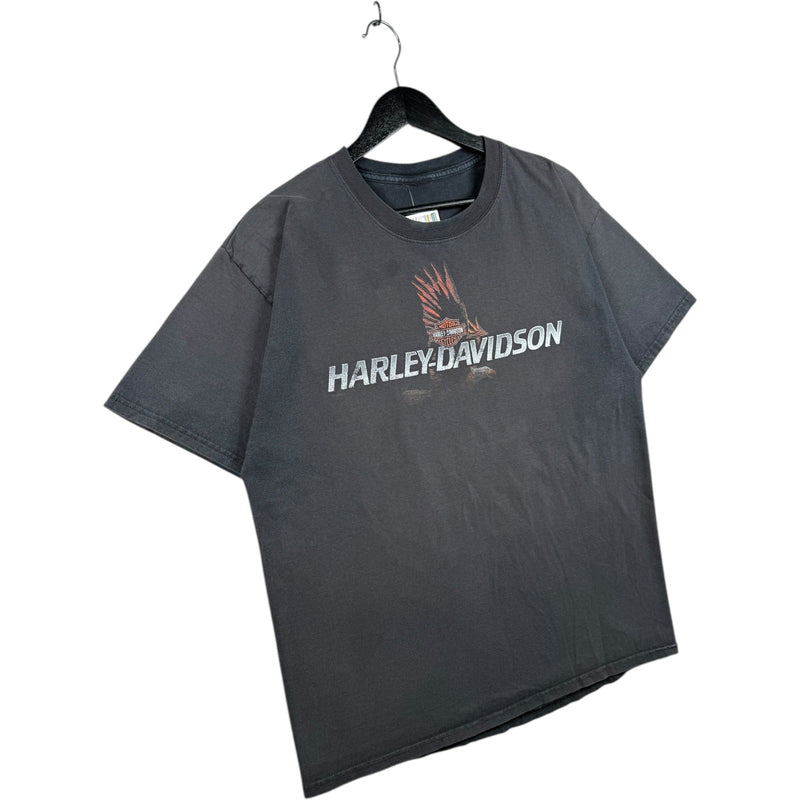 Vintage Harley Davidson Knoxville T-Shirt