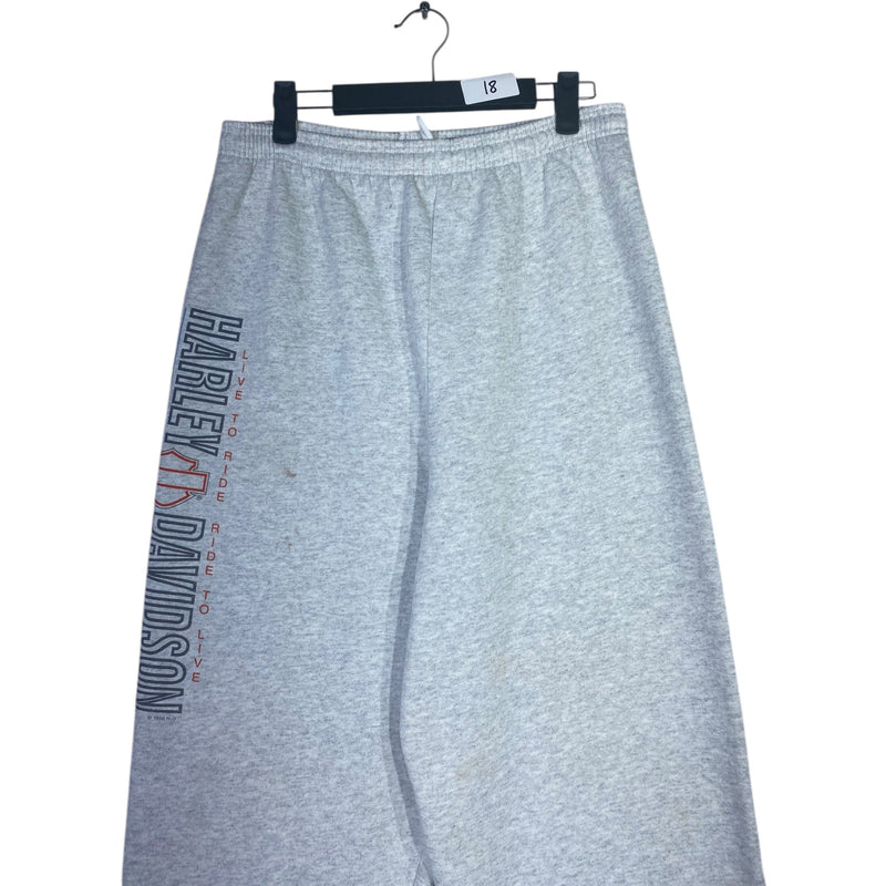 Vintage Hanes Harley Davidson Sweatpants
