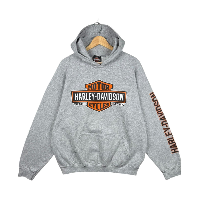Vintage Harley Daavidson Logo Colorado Graphic Hoodie