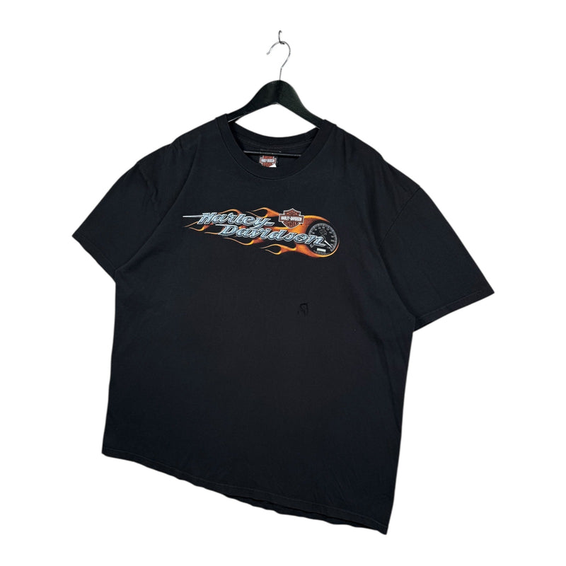 Vintage Harley Davidson Logo Flames Graphic T-Shirt