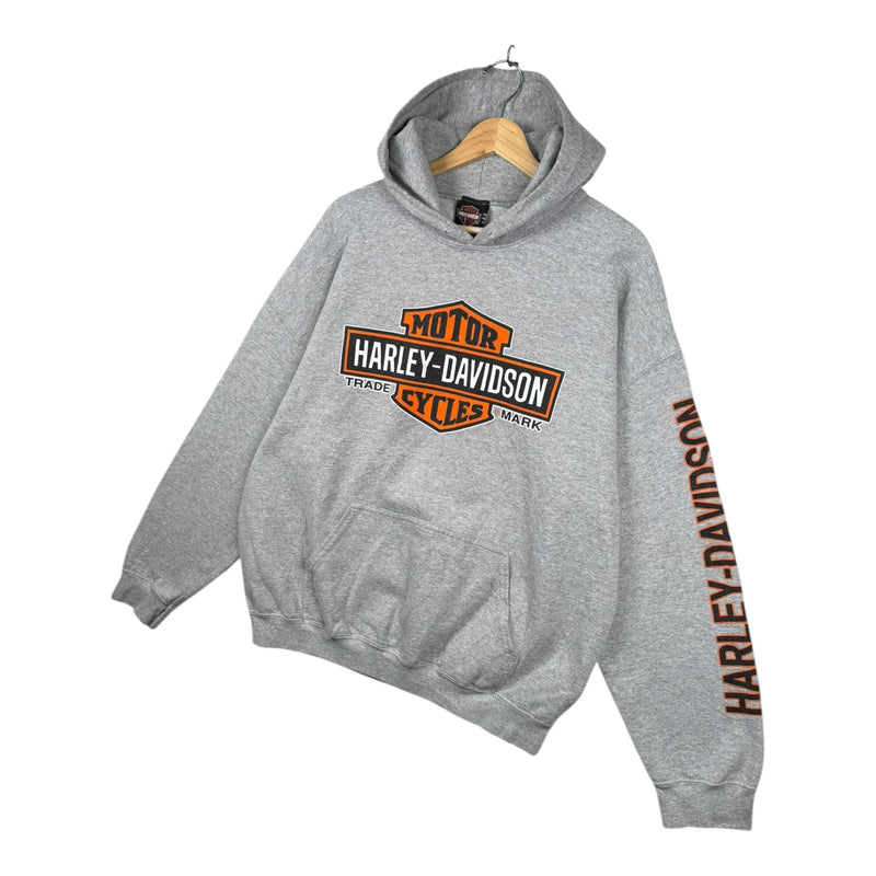 Vintage Harley Daavidson Logo Colorado Graphic Hoodie