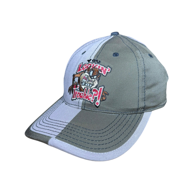 Vintage Looney Tunes Taz Tasmanian Colorblock Snapback Hat