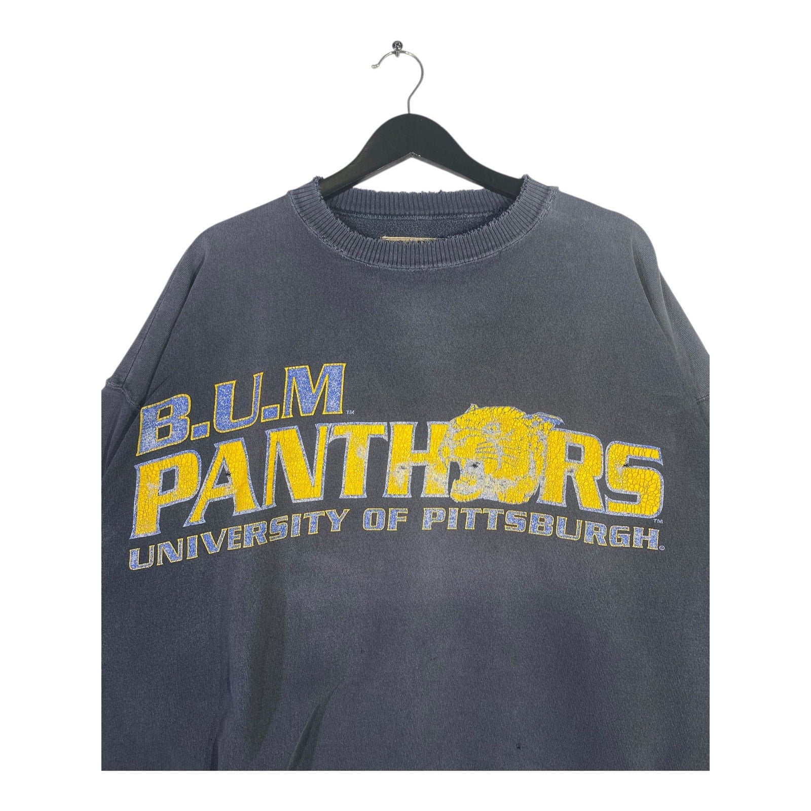 Vintage University Pittsburgh Panthers Crewneck