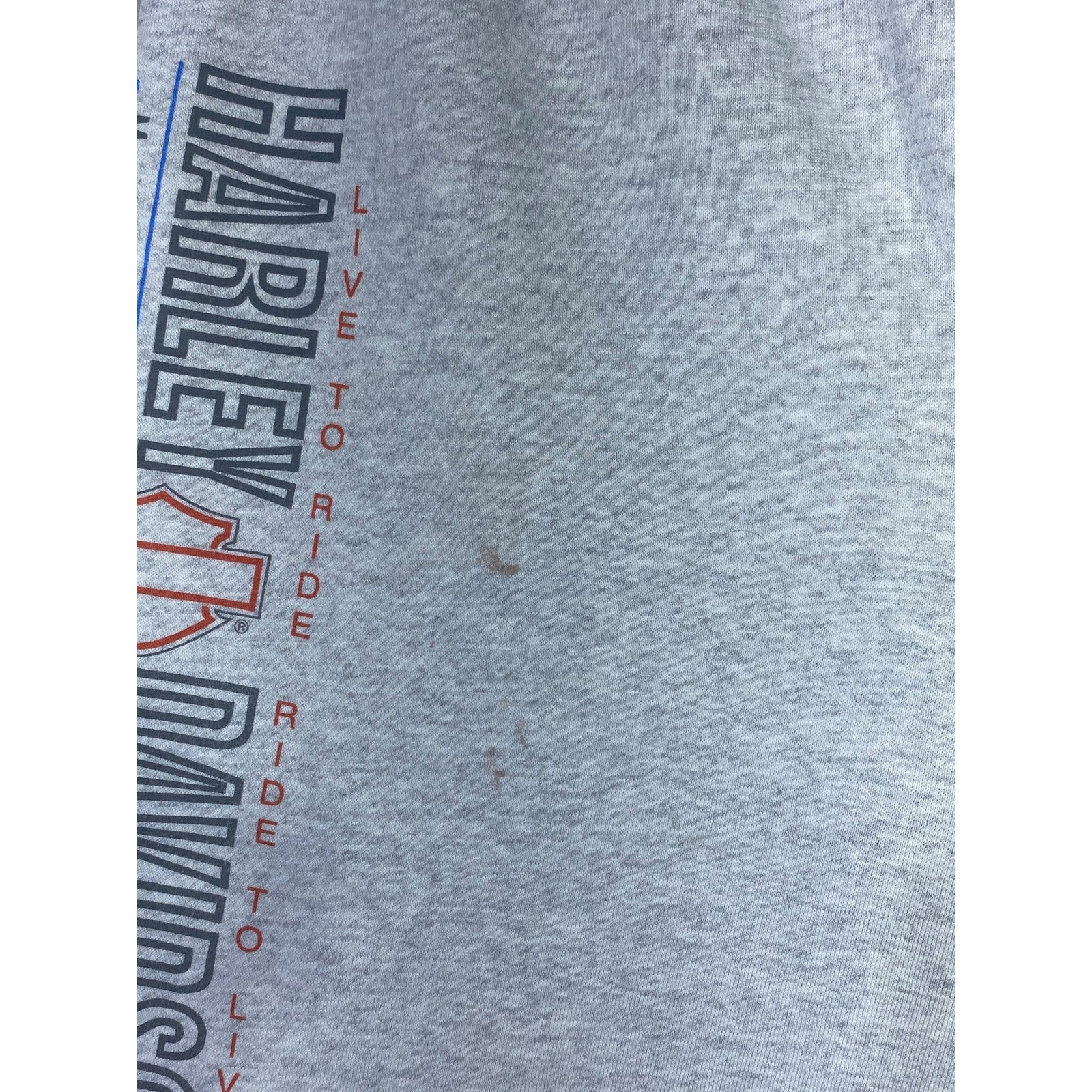 Vintage Hanes Harley Davidson Sweatpants