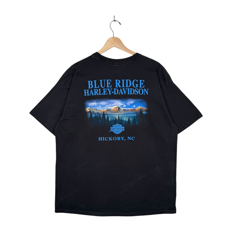Vintage Harley Davidson Blue Ridge Eagle Graphic T-Shirt