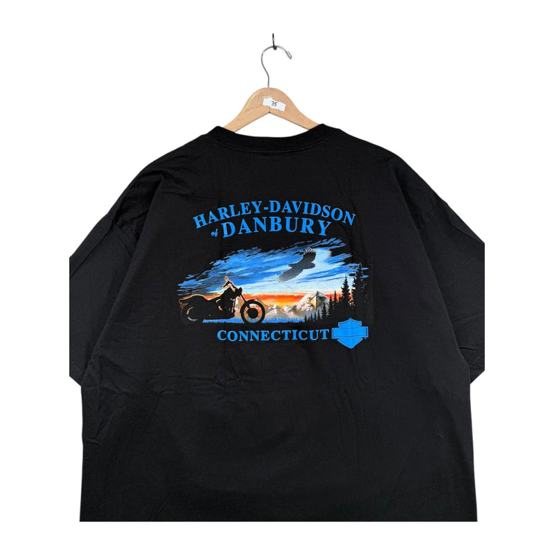 Vintage Harley Davidson Danbury T-Shirt