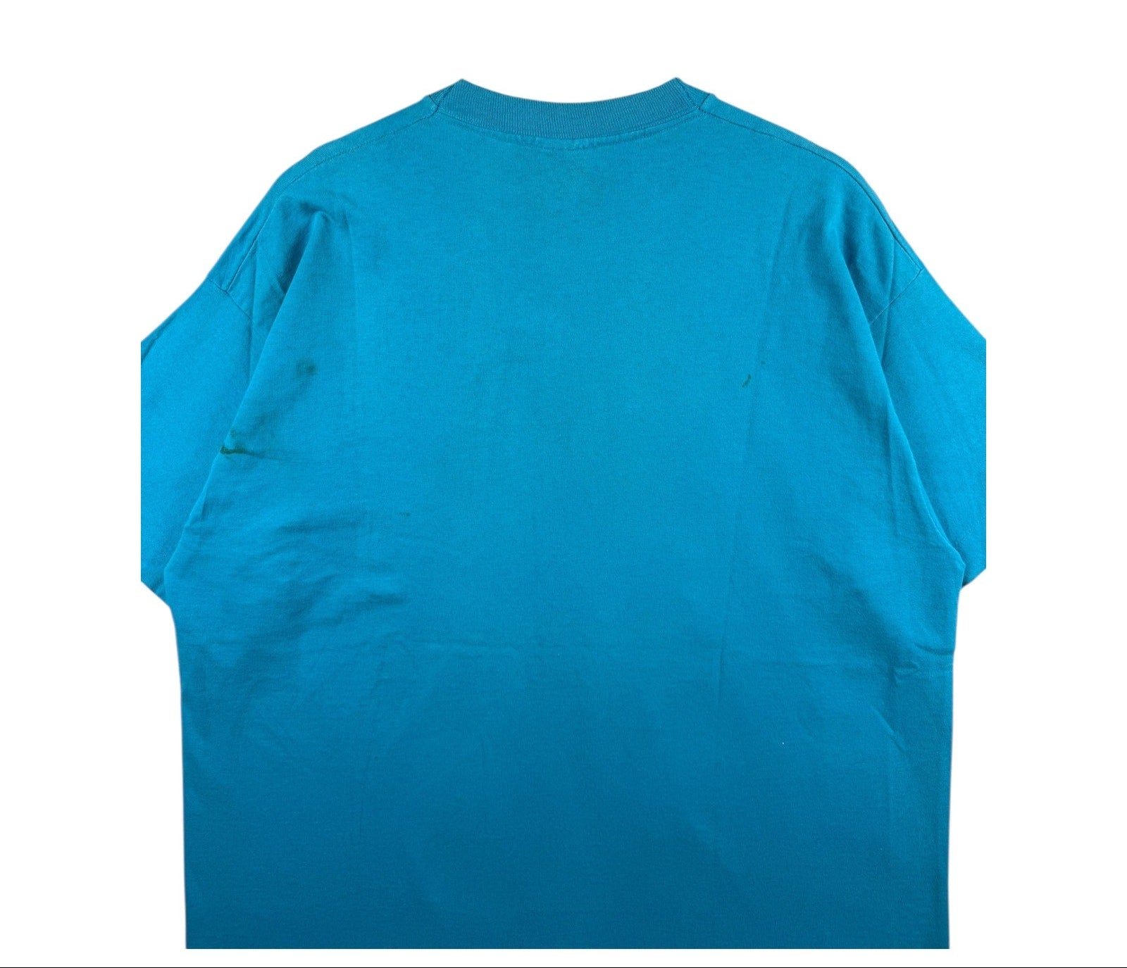 Vintage Charlotte Hornets 1993 NBA Playoffs We Bee-lieve T-Shirt