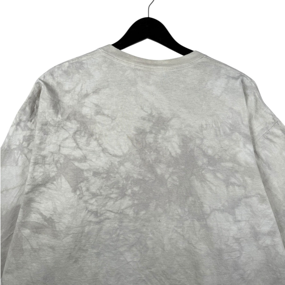 Vintage Lion and Lioness Wildlife Graphic Long Sleeve