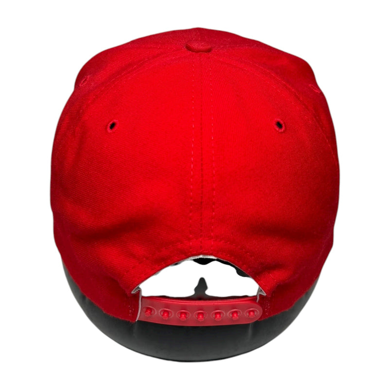 Vintage Atlanta Falcons Graphic Print Snapback Hat