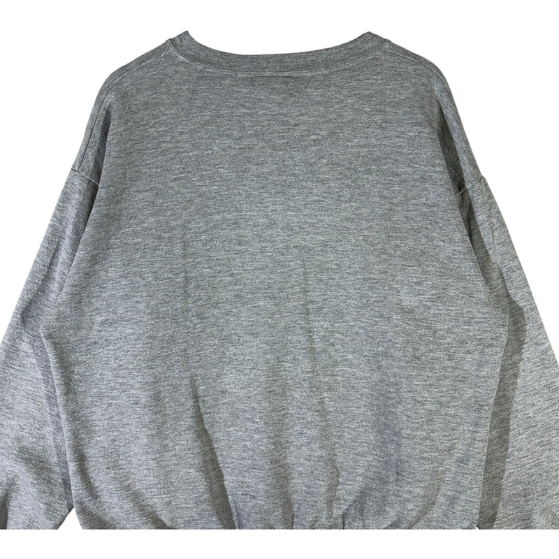 Vintage Super Bowl XXXVIII Champions Crewneck