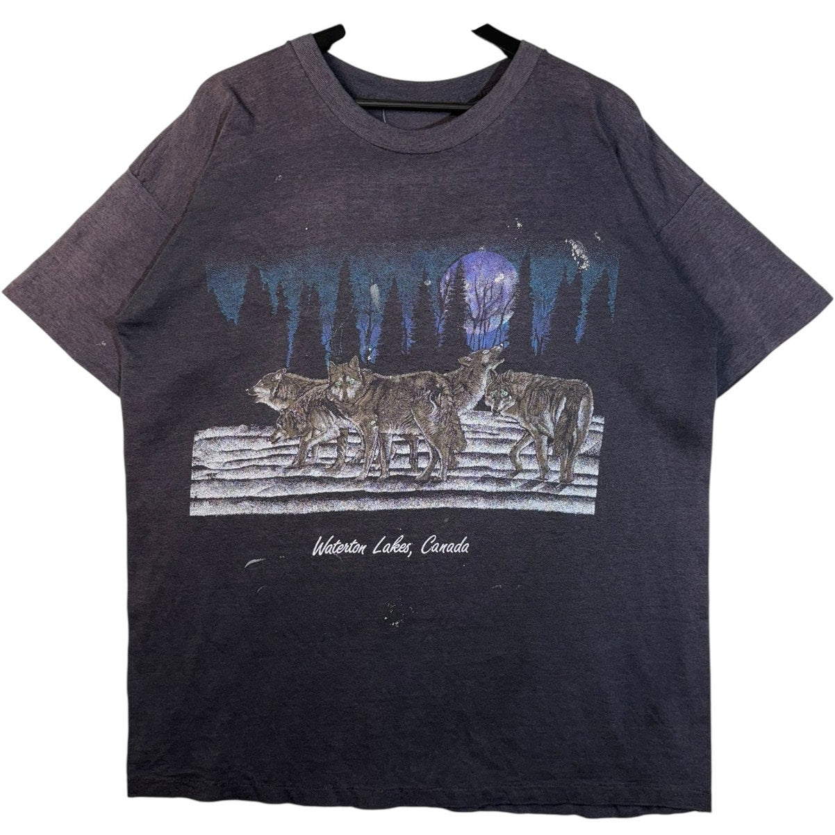 Vintage Waterton Lakes Canada Graphic T-Shirt
