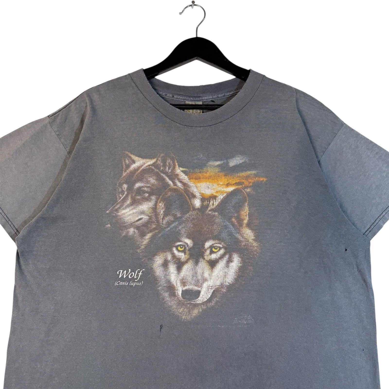 Vintage 3D Emblem Wolf Scientific Name Spellout Art Tee
