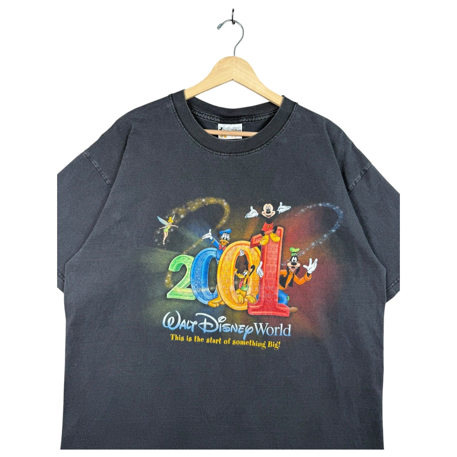 Vintage Walt Disney World T-Shirt 2001
