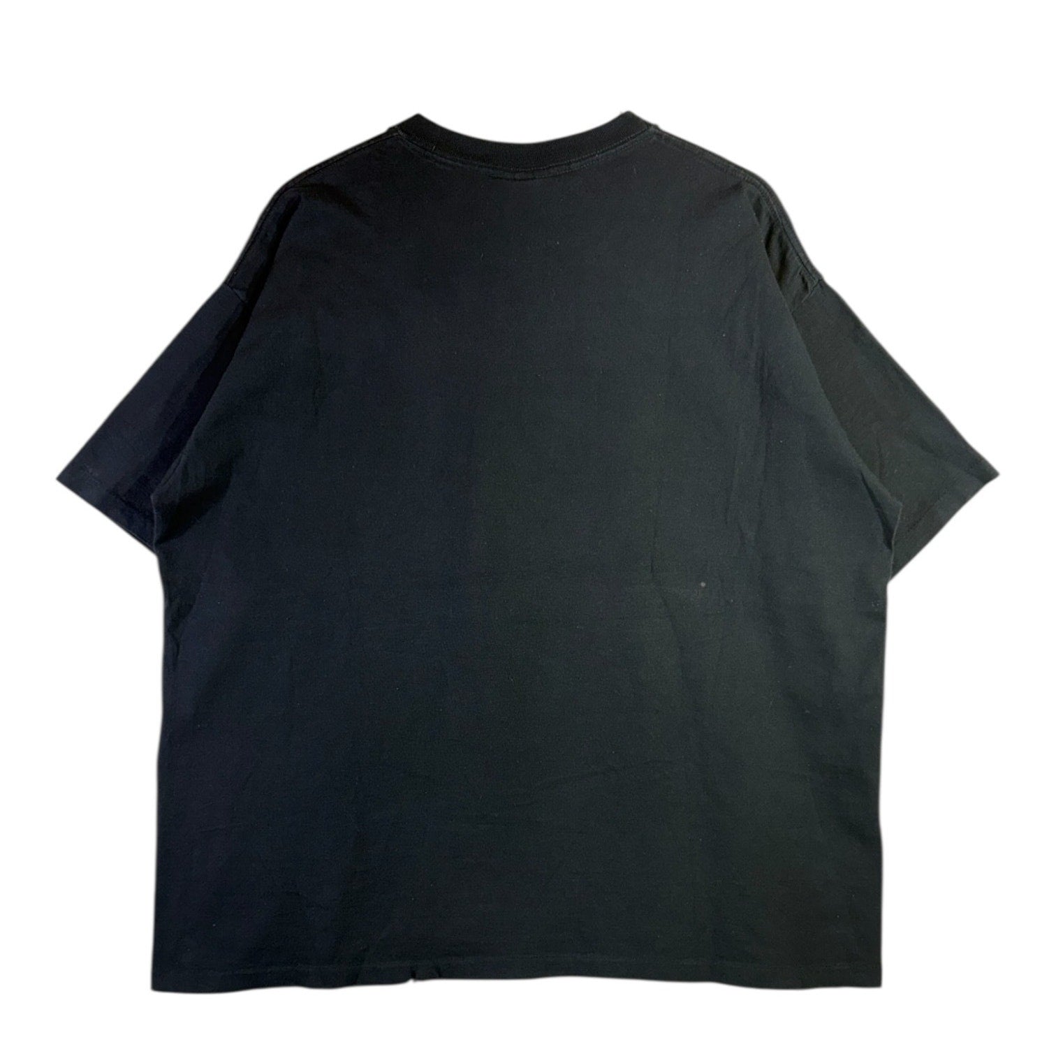 Vintage Pittsburgh Steelers NFL Cartoon Graphic T-Shirt