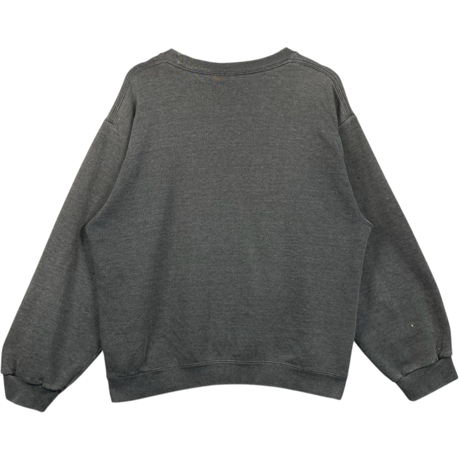 Vintage Faded Pluma Crewneck